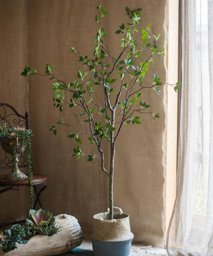 Artificial Green Leaf Faux Tree In Pot - Ed's Plant Shop