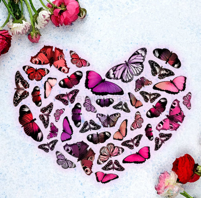 Heart Of Butterflies Paint By Numbers Kit
