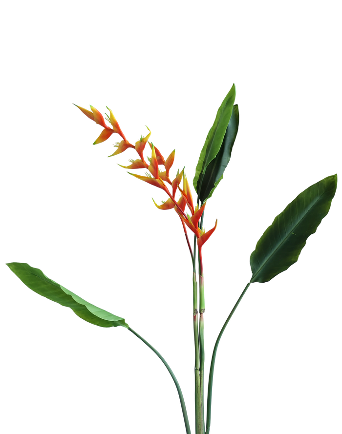 Heliconia Bunch | Available in 3 Colors