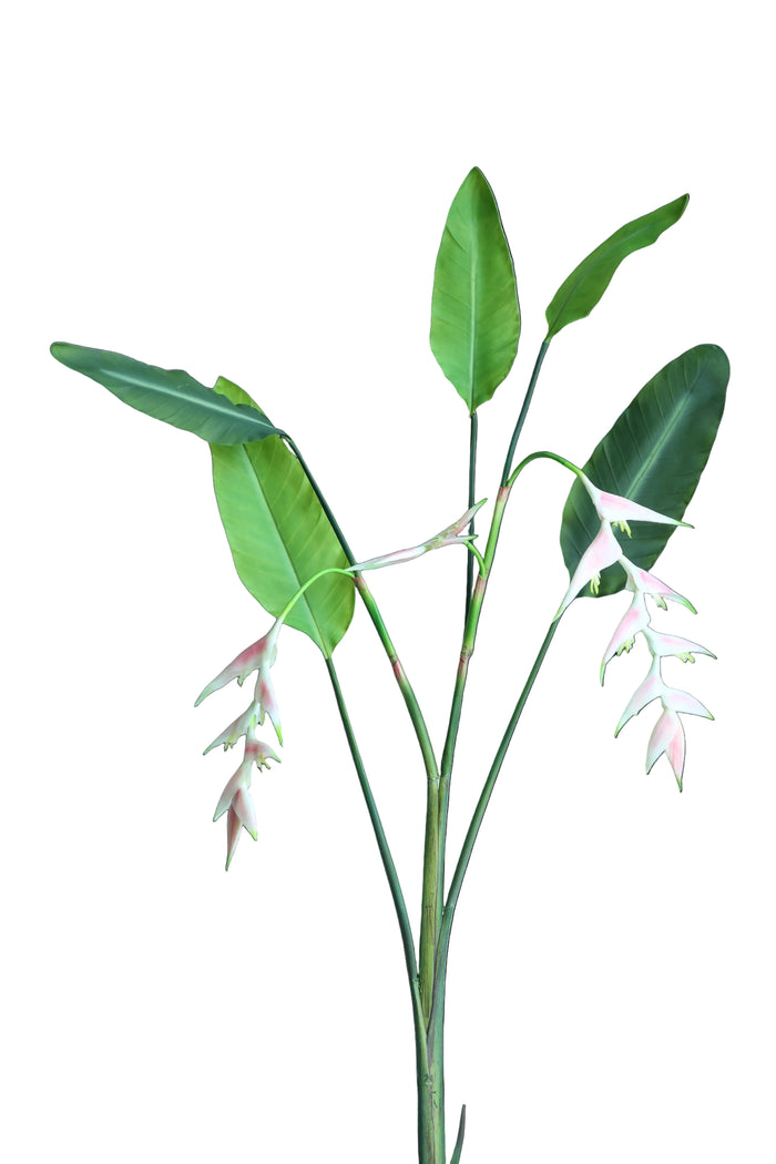 Heliconia Bunch | Available in 3 Colors