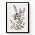 Honeybee Lavender Forage — honeybee lavender forage white studio framed black