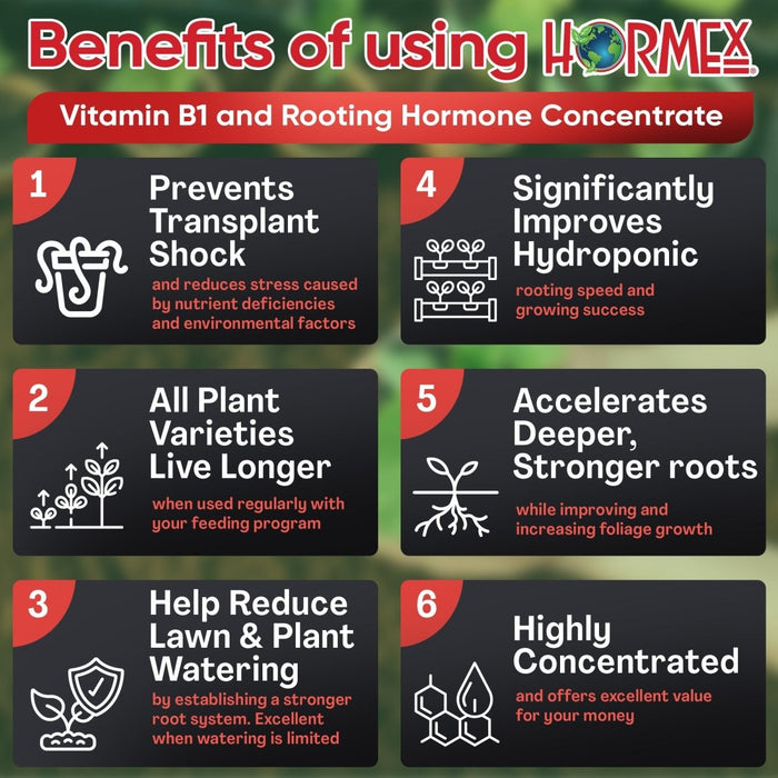 Hormex Rooting Hormone Concentrate with B1 – Root Growth & Plant Health Booster - Ed's Plant Shop