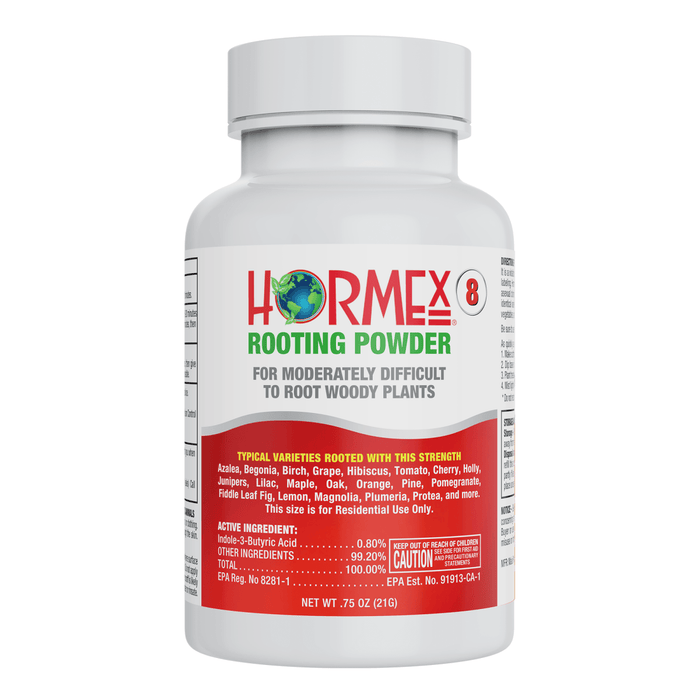 Dipping a semi-hardwood cutting into Hormex Rooting Powder #8
