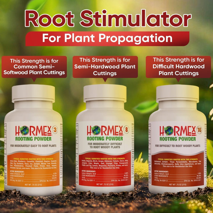 Hormex Rooting Powder Pack – 3, 8 & 16 High - Strength Cloning Kit for Semi - Softwood to Hardwood Cuttings - Ed's Plant Shop