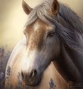 Horse In Lavender Field Paint By Numbers Kit