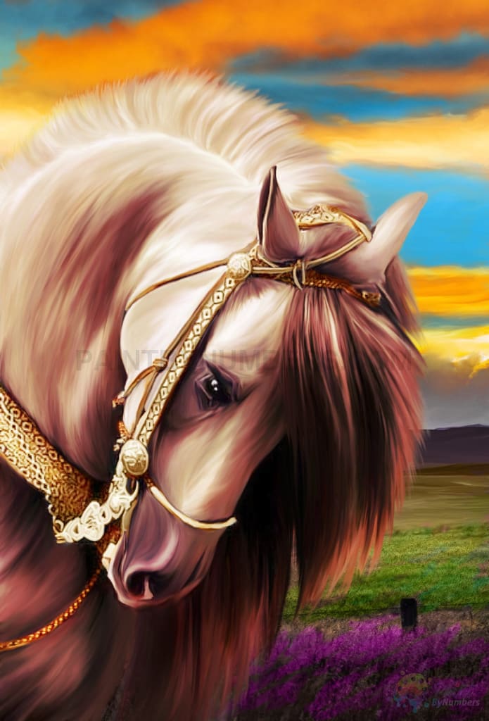 Horse Love Paint By Numbers Kit