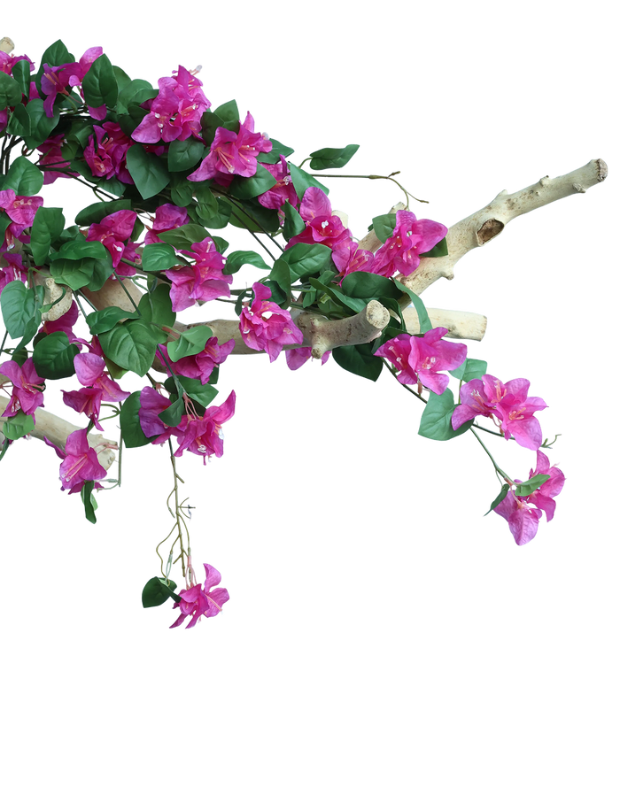 Hot Pink Bouganvilea Bunch-33"