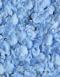 Hydrangea Sheet | Available in 3 Colors