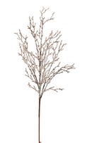 Iced Branch