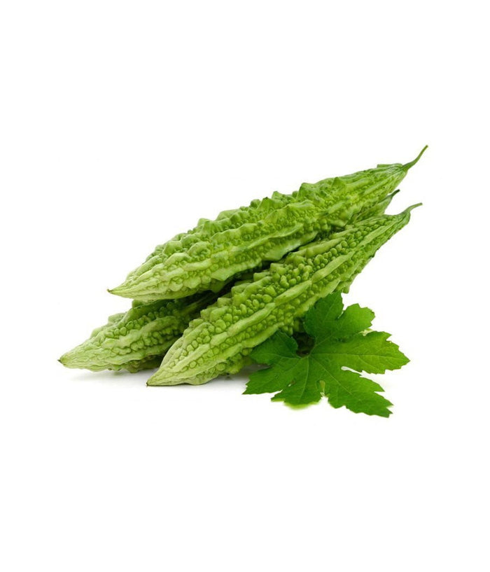 Indian Bitter Melon (Karela) 1 lb / 454 gram - Daily Fresh Grocery