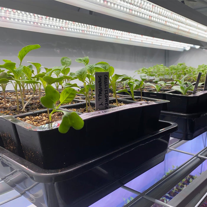 Integrated Dual T8 2FT LED Grow Light (40W Eqv.) – Sun White Pro Spectrum - Ed's Plant Shop