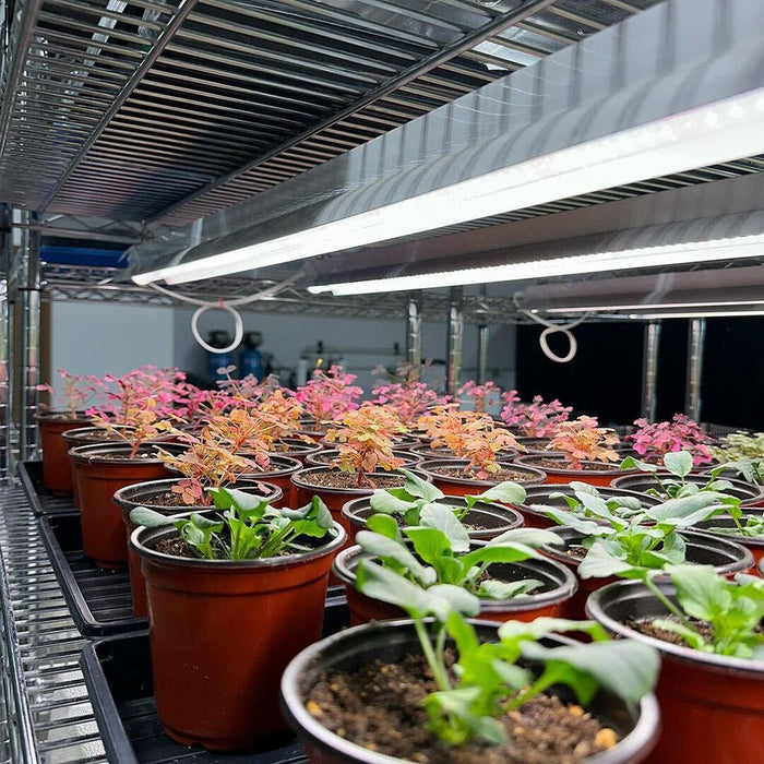 Integrated Strip 4' LED Grow Light – T5 Sun White Spectrum - Ed's Plant Shop