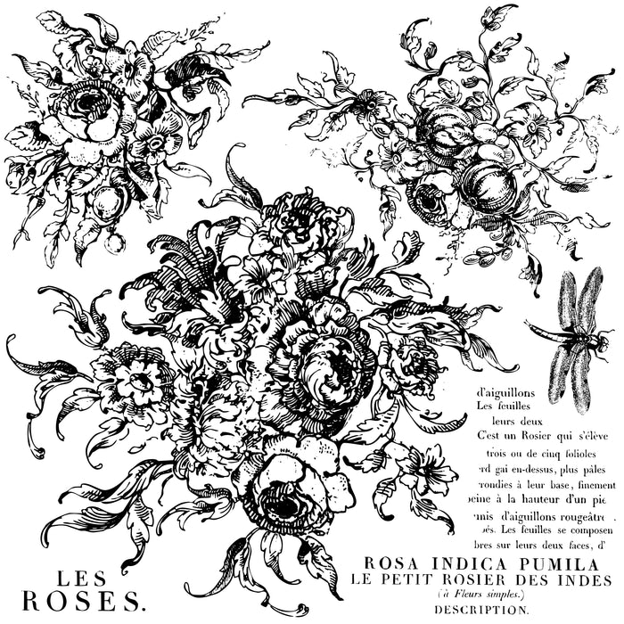 IOD Rose Toile 12x12 Decor Stamp