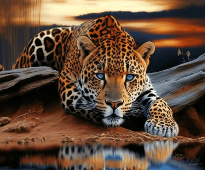 Jaguar On The Plains Paint By Numbers Kit For Adults