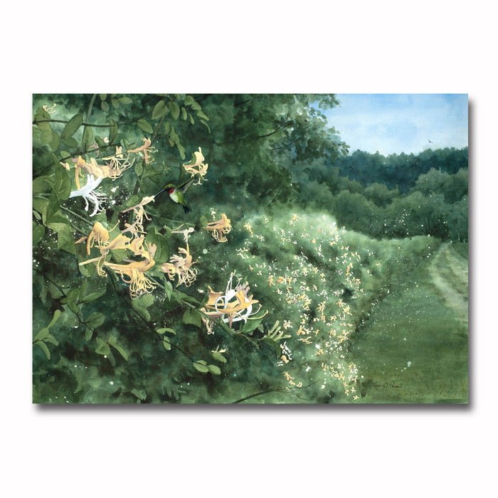 Jewel in the Honeysuckle Giclee