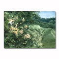 Jewel in the Honeysuckle Giclee