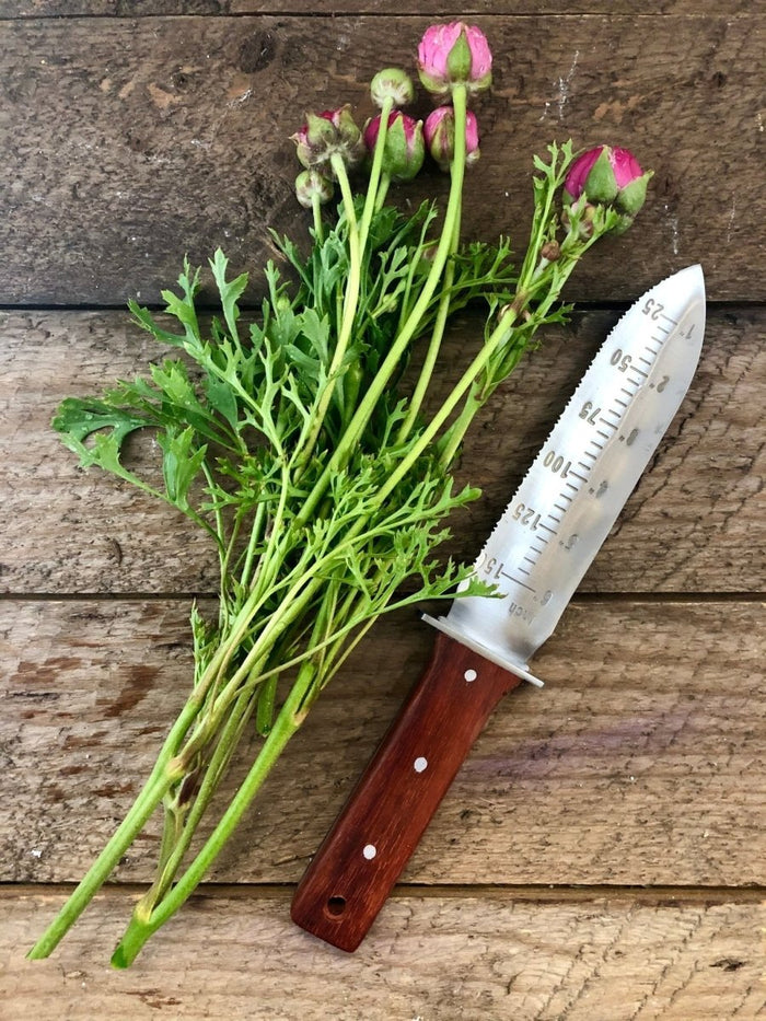 Katana Hori Hori Garden Tool – The Ultimate Gardening Knife - Ed's Plant Shop