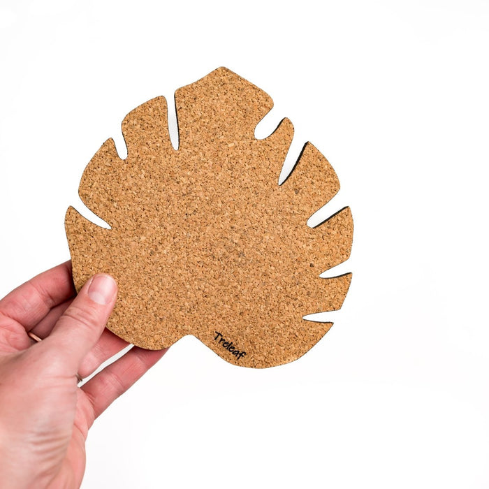 Kostr™ – Set of 4 Sustainable Cork Plant Coasters - Ed's Plant Shop