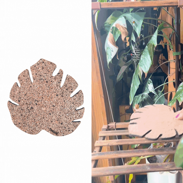 Kostr™ – Set of 4 Sustainable Cork Plant Coasters