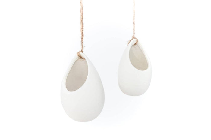 Large Ivory Ceramic Container – Hanging or Tabletop Display Vase for Air Plants - Ed's Plant Shop