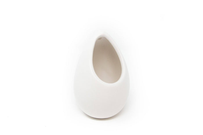 Large Ivory Ceramic Container – Hanging or Tabletop Display Vase for Air Plants - Ed's Plant Shop
