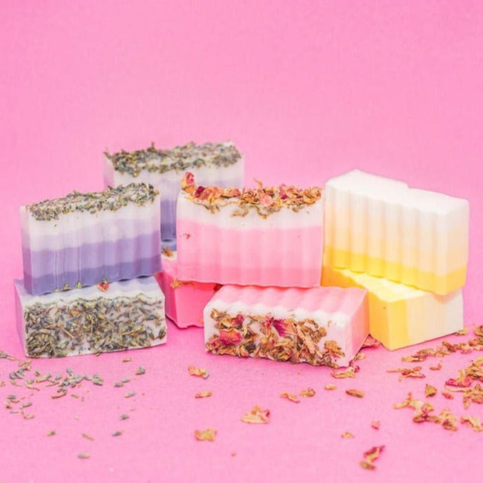 Layered Soap Making Kit - Ed's Plant Shop