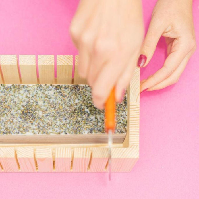 Layered Soap Making Kit - Ed's Plant Shop