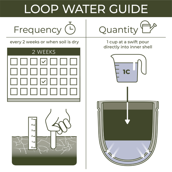 Watering Guide For Loop Hanging Basket
