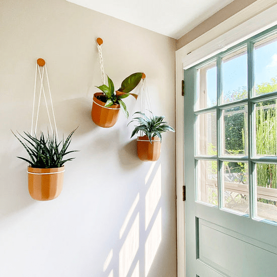 Leak Free Hanging Baskets For Houseplants - Ed's Plant Shop - Terra Cotta Color
