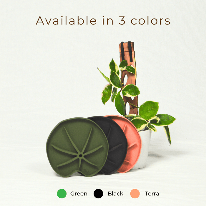 Lili Saucer – Stylish Lily Pad Plant Saucer for Drainage, Root Rot Prevention & Humidity - Ed's Plant Shop