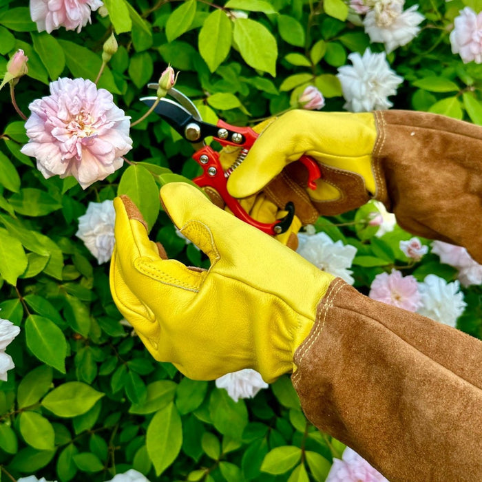 Long Garden Gloves – Rose & Thorn Pruning Gloves (Soft Cowhide) - Ed's Plant Shop