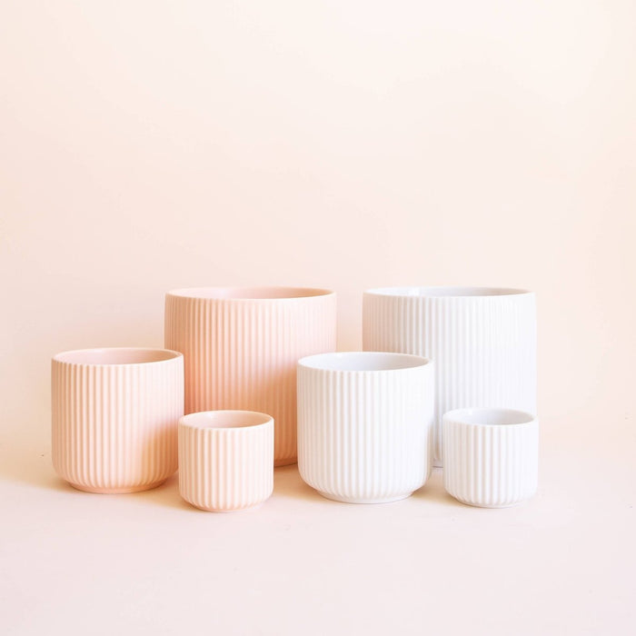 Lucy Planter | White - Ed's Plant Shop