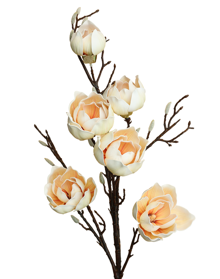 Magnolia Branch Spray | Available in 2 Colors