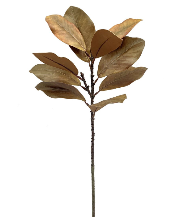 Magnolia Stem Chili