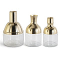Metal & Clear Glass Long Neck Vases