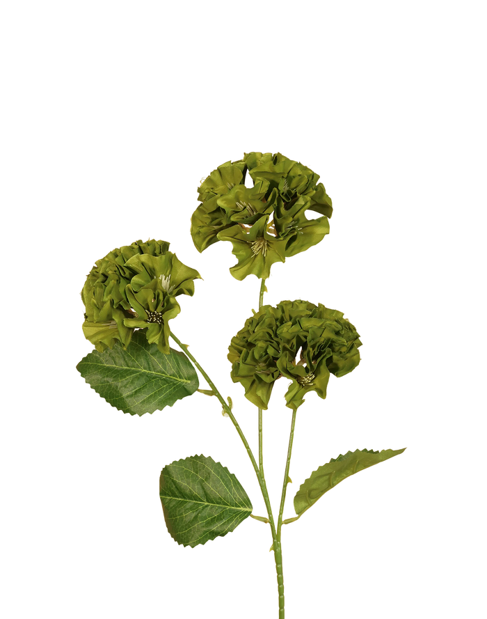 Mini Geranium | Available in 3 Colors