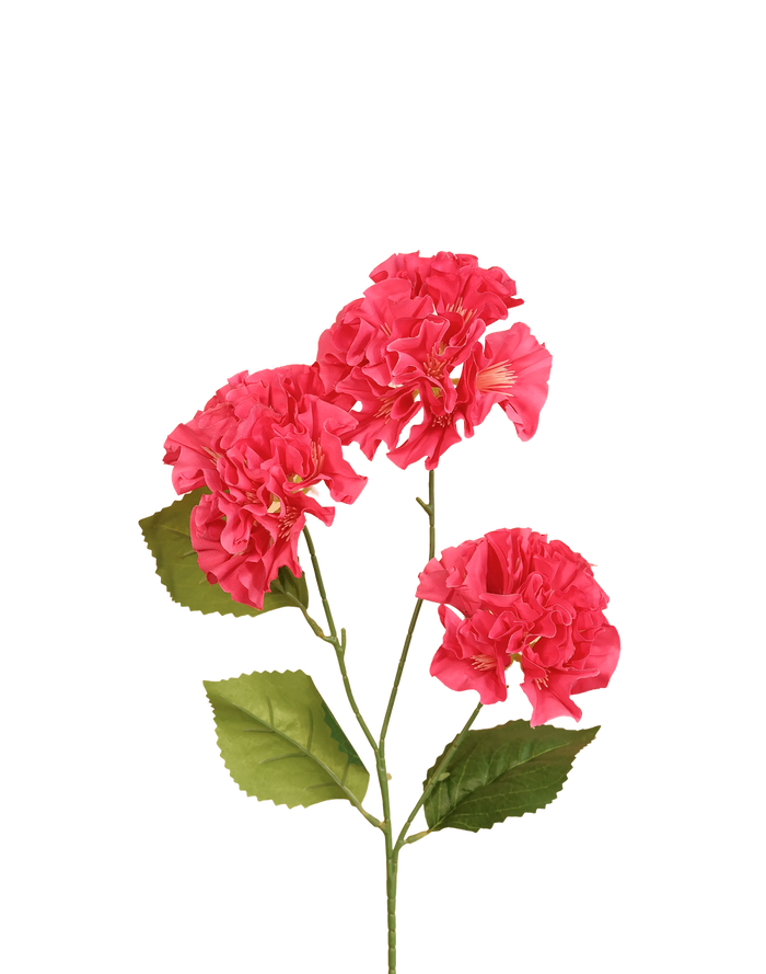 Mini Geranium | Available in 3 Colors