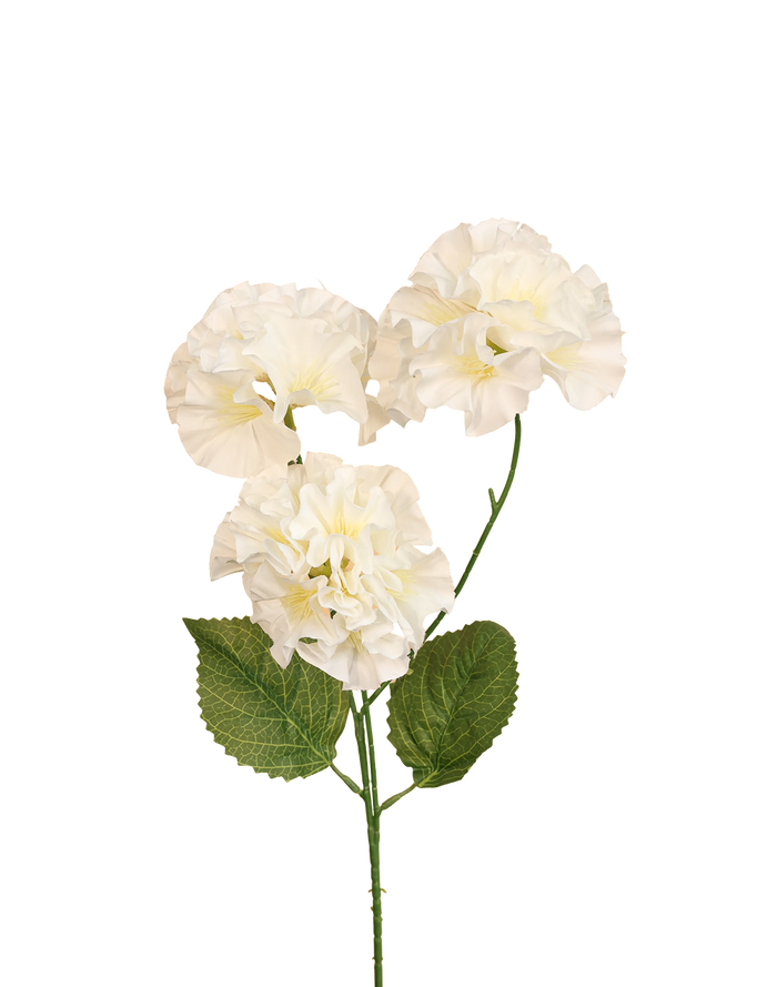 Mini Geranium | Available in 3 Colors