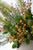 Mixed Green Bundle