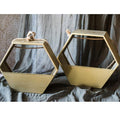 Modern Gold Hexagon Hanging Planter - Ed's Plant Shop