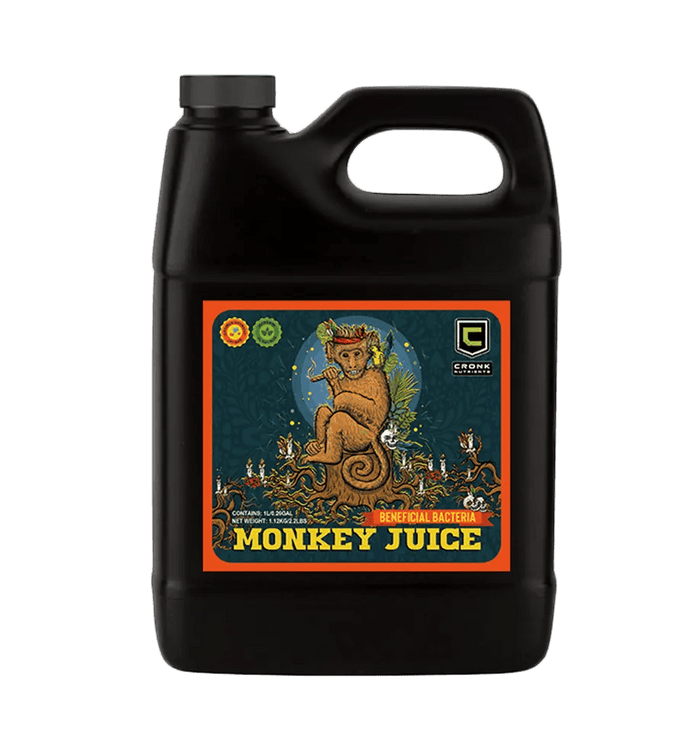 1L