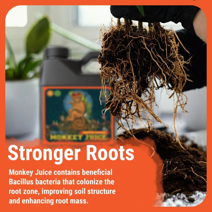 Monkey Juice | Increases Root Health and Nutrient Absorption - Ed's Plant Shop