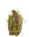 Moss Decorative