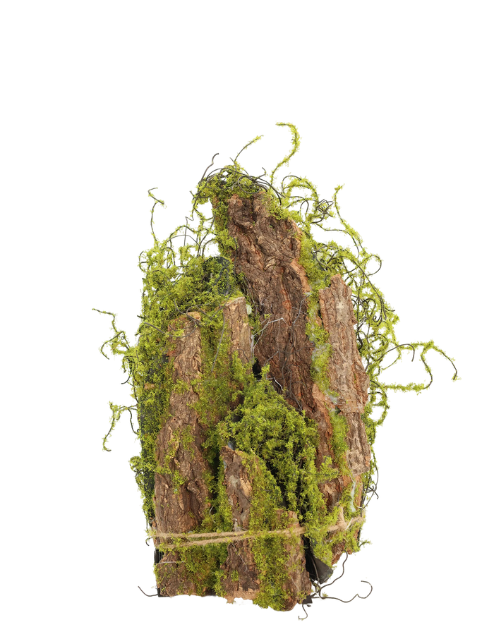 Moss Decorative