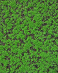 Moss Sheet