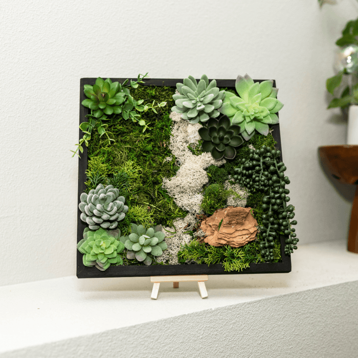 Moss Wall Kit - Ed's Plant Shop