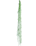 Mossy Garland-53"