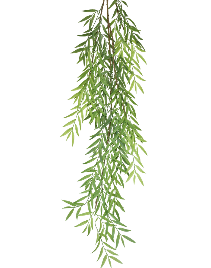 Olive Branch Stem