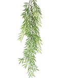 Olive Branch Stem