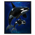 Orca Mother Calf canvas wall art